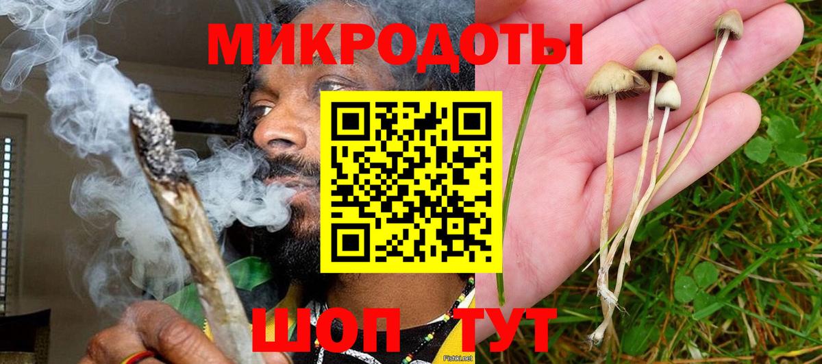 Галлюциногенные грибы Psilocybe Донской