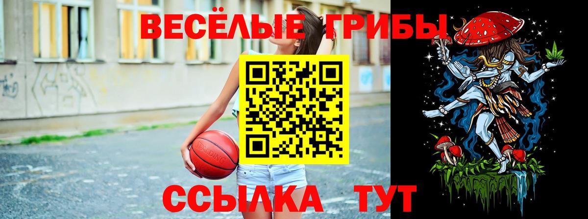 Галлюциногенные грибы MAGIC MUSHROOMS  Вход с VPN  Донской 